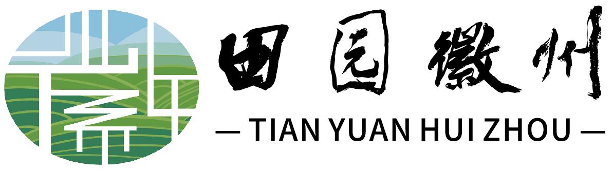 安徽省屯溪高壓閥門股份有限公司